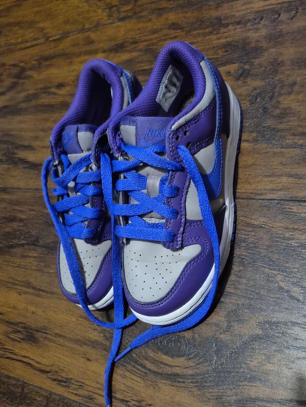 Nike Dunk Kids Low-Top Sneakers in Purple and Blue